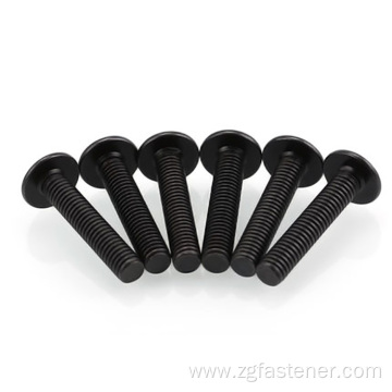 black oxide cross recessed mushroom head screws